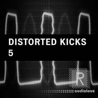 Riemann Kollektion Riemann Analog Distorted Kickdrum Loops 5