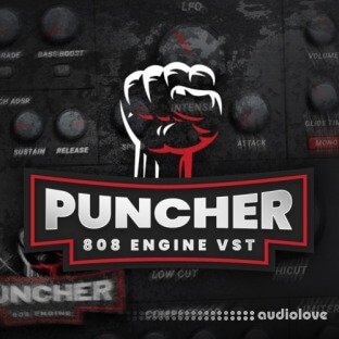 Industry Kits Puncher 808 Engine VST