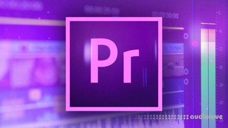 SkillShare Adobe Premiere Pro CC 2019 Beginner to Pro