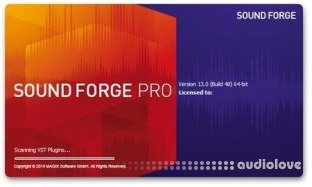 MAGIX SOUND FORGE Pro Portable