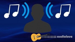 Udemy Ear Training for the Curious Guitarist