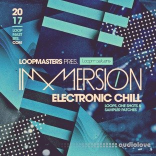 Loopmasters Immersion Electronic Chill 1