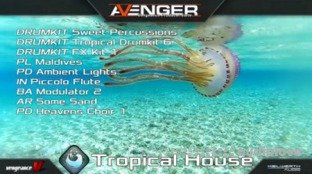 Vengeance Sound Avenger Expansion pack Tropical House