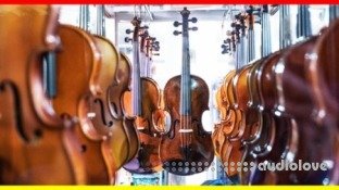 Udemy Beginner Violin Course VIOLIN MASTERY FROM THE BEGINNING