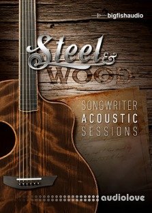 Big Fish Audio Steel and Wood Songwriter Acoustic Sessions