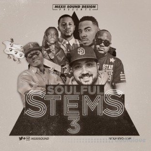 MSXII Audio Soulful Stems Vol.3