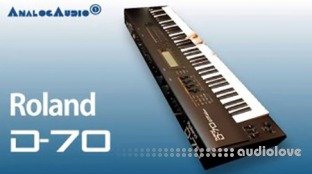 Nicebeats Synthline #3126 Roland D-70