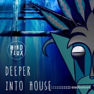 Mind Flux Deeper Into House