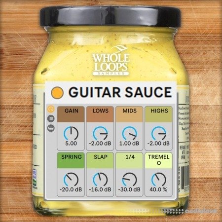 WHOLE LOOPS Guitar Sauce