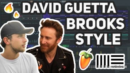 PROFESSIONAL FUTURE HOUSE FLP  BROOKS, DAVID GUETTA, MAURICE WEST STYLE (+FLP)