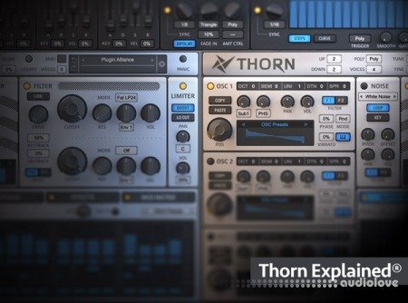 Groove3 Thorn Explained