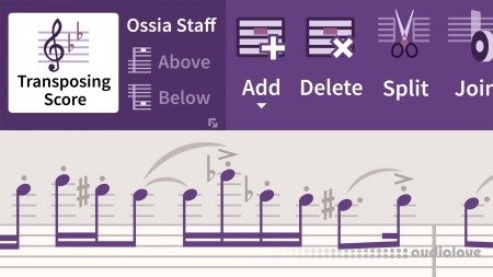 Lynda Learning Sibelius Ultimate 2019 Essential Training The Basics