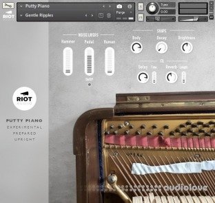 Riot Audio Putty Piano