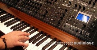 Udemy #1 Read Music Notes Fast Beginners Music Note Attack
