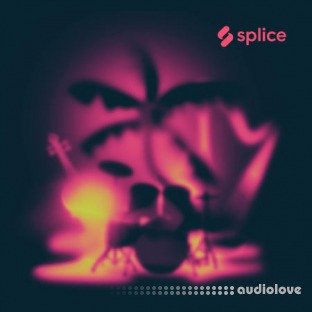 Splice Sounds Paradise Found with The Splice Sounds Orchestra