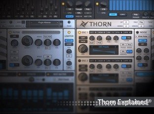 Groove3 Thorn Explained