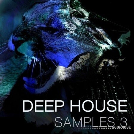 SPF Samplers Deep House 3
