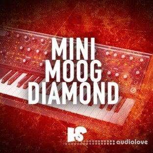 HOOKSHOW Mini Moog Diamond