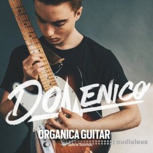 Splice Sounds DOMENICO: Organica Guitar