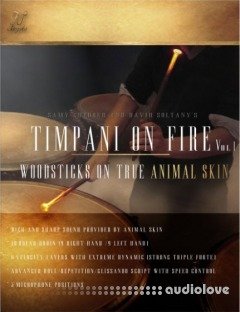 FTSamples Timpani On Fire Vol.1