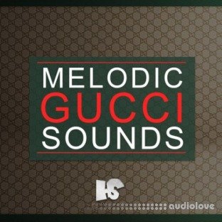 HOOKSHOW Melodic Gucci Samples