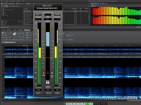 MAAT DRMeter MkII v2.2.2 Incl Emulator WiN