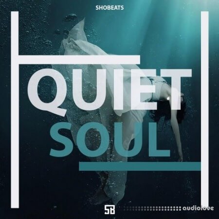 Shobeats Quiet Soul