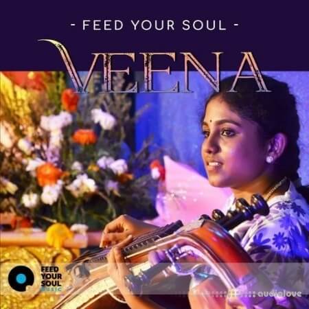 Feed Your Soul Music Feed Your Soul Veena