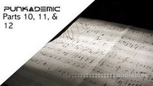 PUNKADEMIC Music Theory Comprehensive Complete Part 10, 11, & 12