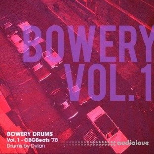 Dylan Wissing BOWERY DRUMS Vol.1 CBGBeats '78