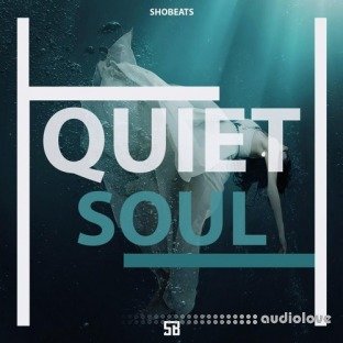 Shobeats Quiet Soul