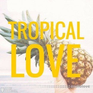 Out Of Your Shell Tropical Love Vol.1