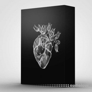 UrBan Nerd Beats Heart (Drum & Sample Pack)