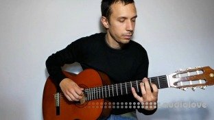 Udemy Fingerpicking guitar for beginners