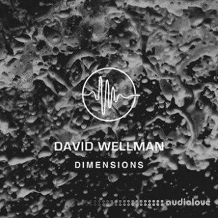 David Wellman Dimensions