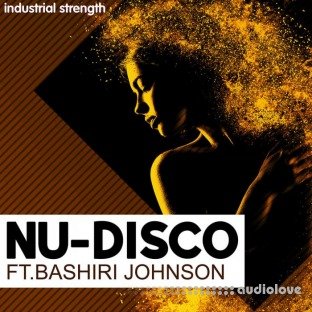 Industrial Strength Nu-Disco Ft. Bashiri Johnson