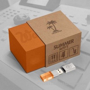 Johnny Juliano Summer Wave Sample Pack