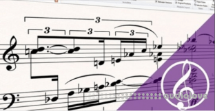 Udemy Take your Sibelius skills to the next level Course 1