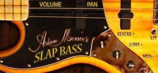 Adam Monroe Music Slap Bass
