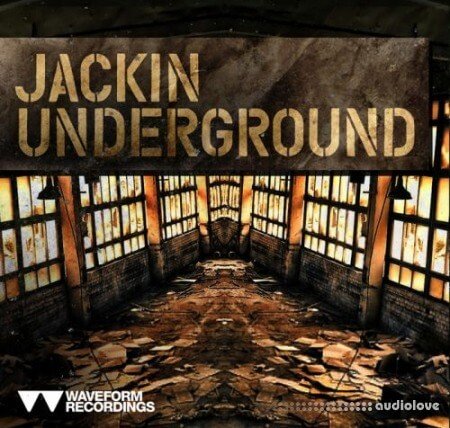 Waveform Recordings Jackin Underground