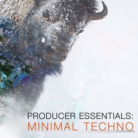 SPF Samplers Producer Essentials Minimal Techno