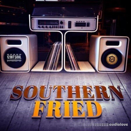 Divided Souls Southern Fried Volume 1