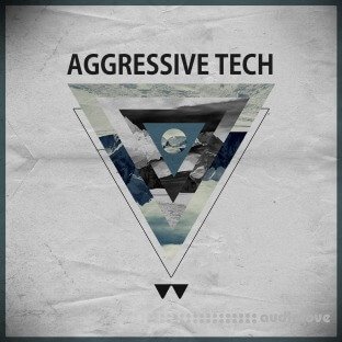 Waveform Recordings Aggressive Tech