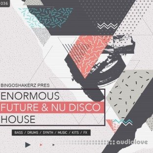 Bingoshakerz Enormous Future And Nu Disco House