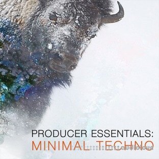 SPF Samplers Producer Essentials Minimal Techno