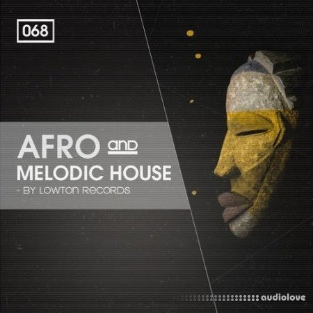 Bingoshakerz Afro and Melodic House by Lowton Records