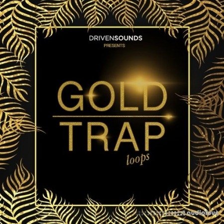 DRIVENSOUNDS Gold Trap Loops