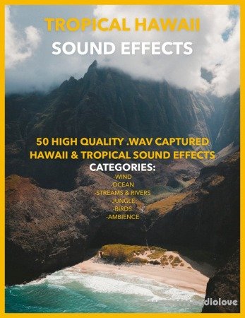 Jakob Owens Productions Tropical Hawaii Sound Effects Pack Vol.1