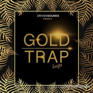 DRIVENSOUNDS Gold Trap Loops