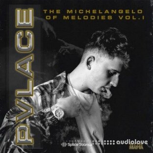 Splice Sounds Pvlace Michelangelo of Melodies Vol.1